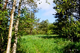 wp1e47b840_0f.jpg